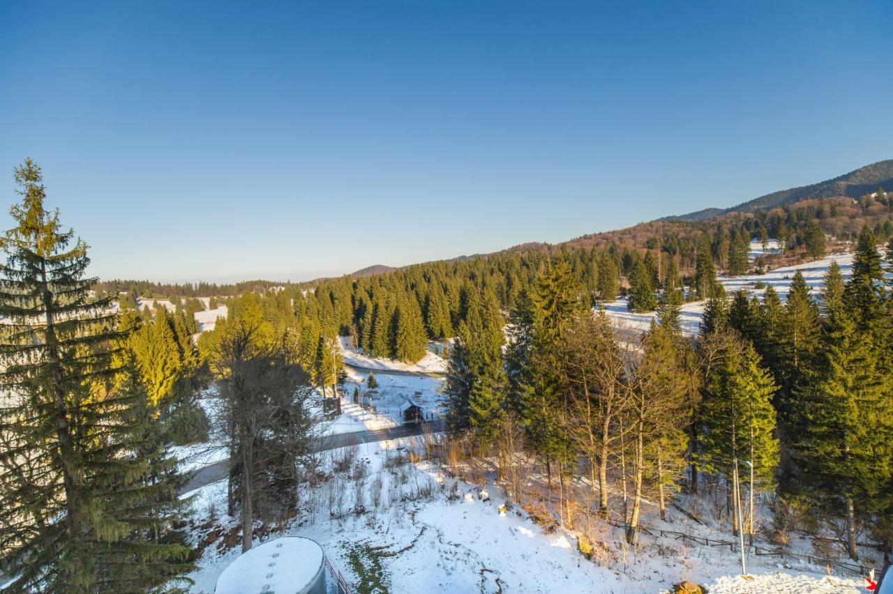 Forest Corner In Silver Mountain Of Poiana Brasov Exterior photo