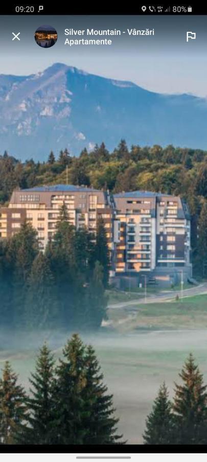 Forest Corner In Silver Mountain Of Poiana Brasov Exterior photo