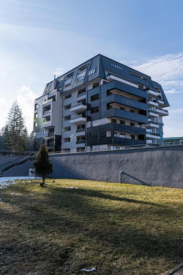 Forest Corner In Silver Mountain Of Poiana Brasov Exterior photo