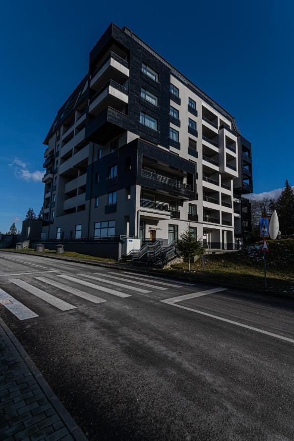 Forest Corner In Silver Mountain Of Poiana Brasov Exterior photo