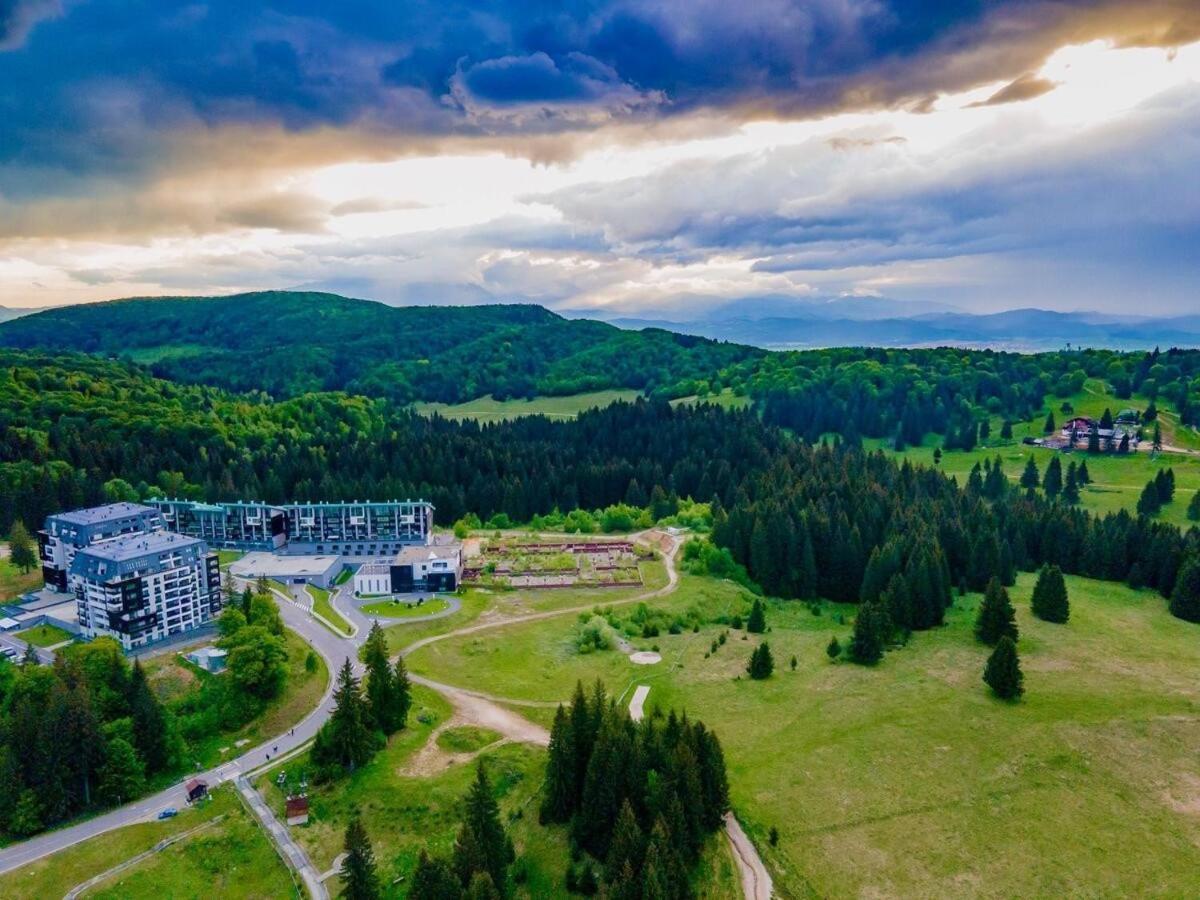 Forest Corner In Silver Mountain Of Poiana Brasov Exterior photo