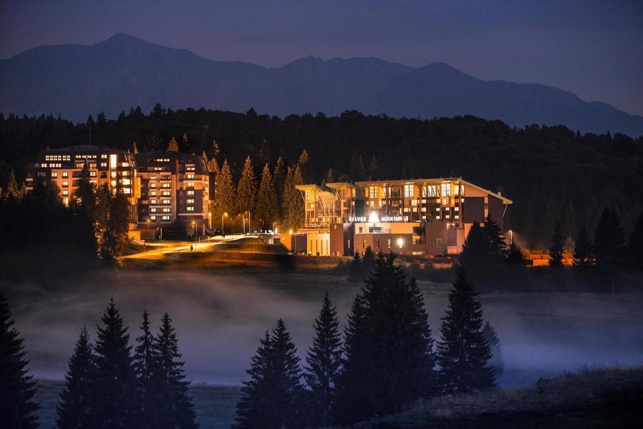 Forest Corner In Silver Mountain Of Poiana Brasov Exterior photo