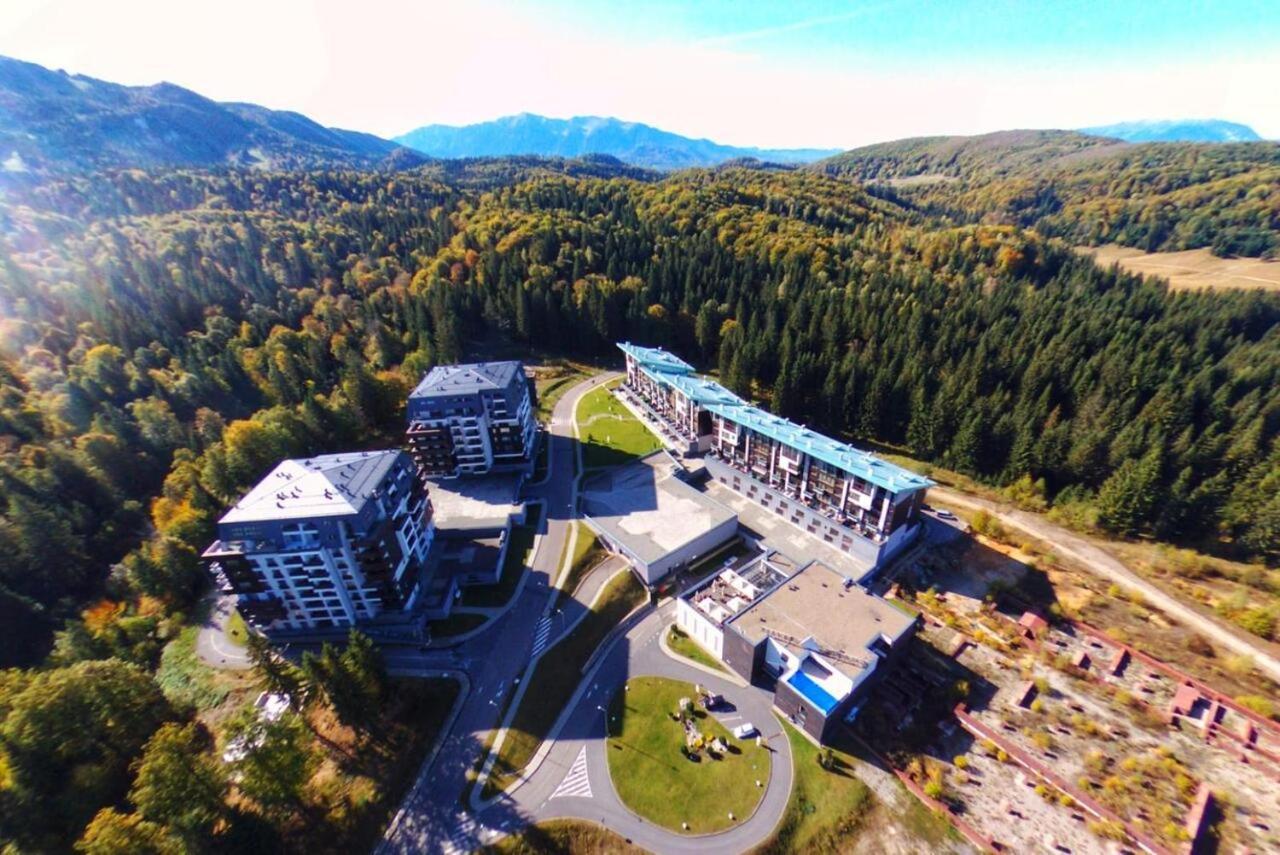Forest Corner In Silver Mountain Of Poiana Brasov Exterior photo
