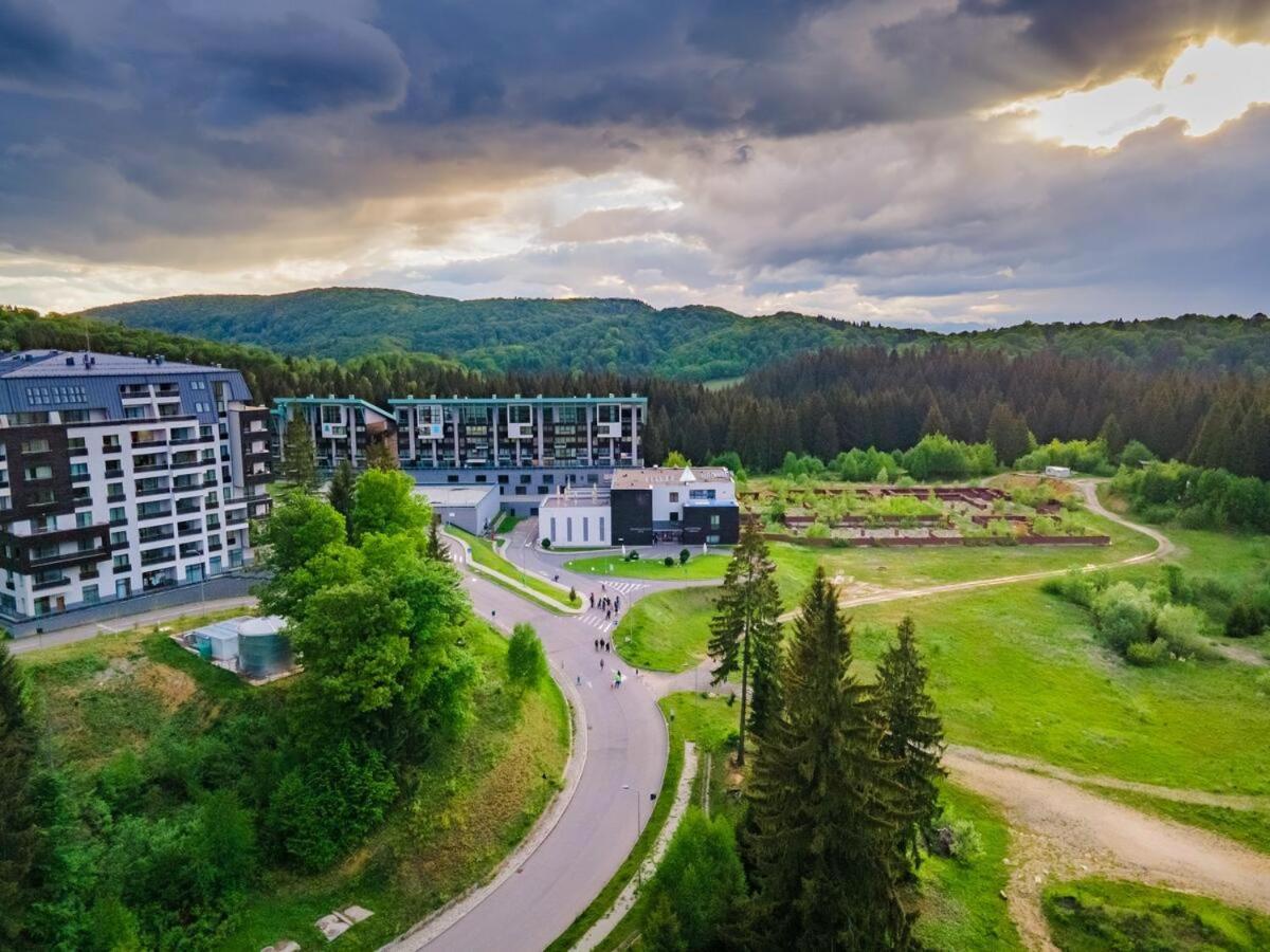 Forest Corner In Silver Mountain Of Poiana Brasov Exterior photo
